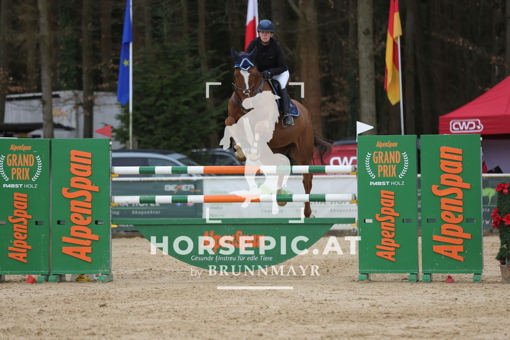 0P6A5360 | Willkommen bei Brunnmayr - Design & Fotografie – Ihrem Spezialisten für Reitturniere und Pferdeveranstaltungen in Oberösterreich, Salzburg und Bayern! Seit über 17 Jahren sind wir leidenschaftlich dabei.