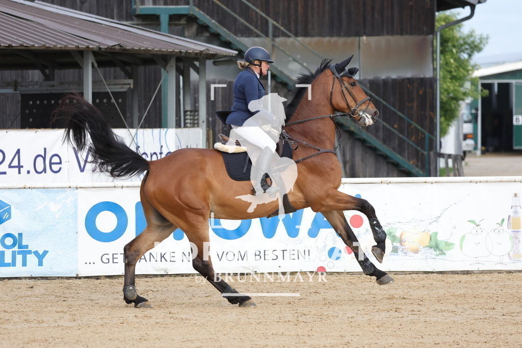 0P6A5954 | Willkommen bei Brunnmayr - Design & Fotografie – Ihrem Spezialisten für Reitturniere und Pferdeveranstaltungen in Oberösterreich, Salzburg und Bayern! Seit über 17 Jahren sind wir leidenschaftlich dabei.
