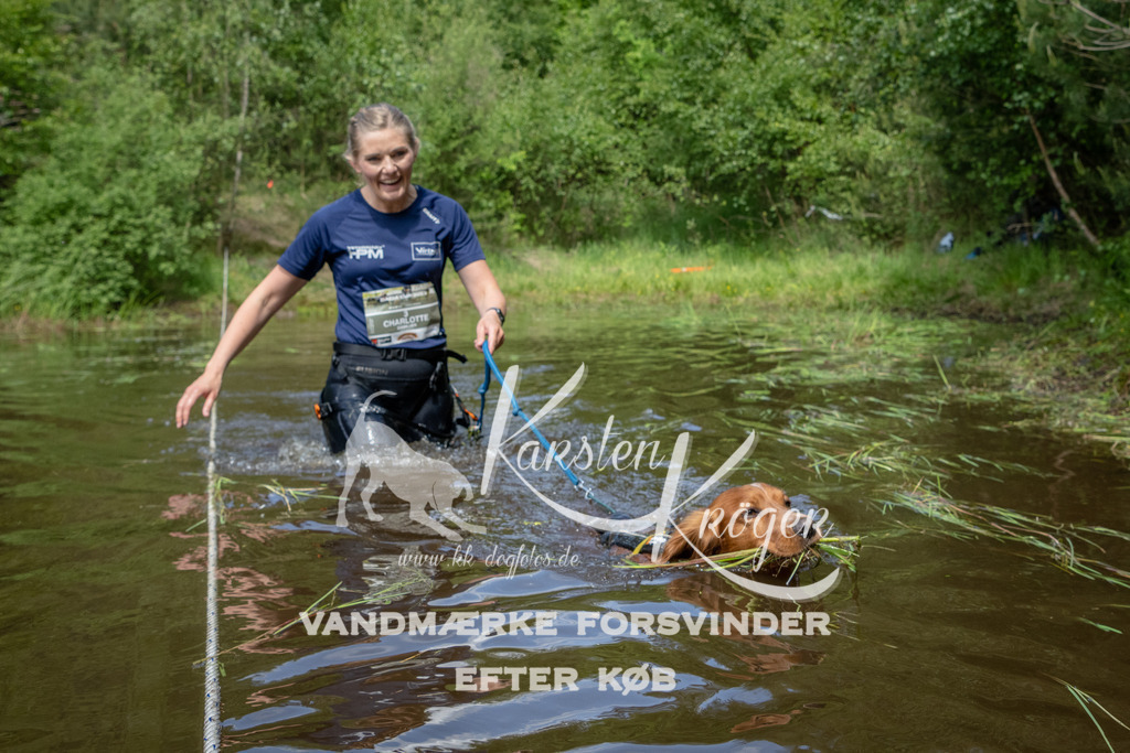 1214DKK992286 | kk-dogfotos