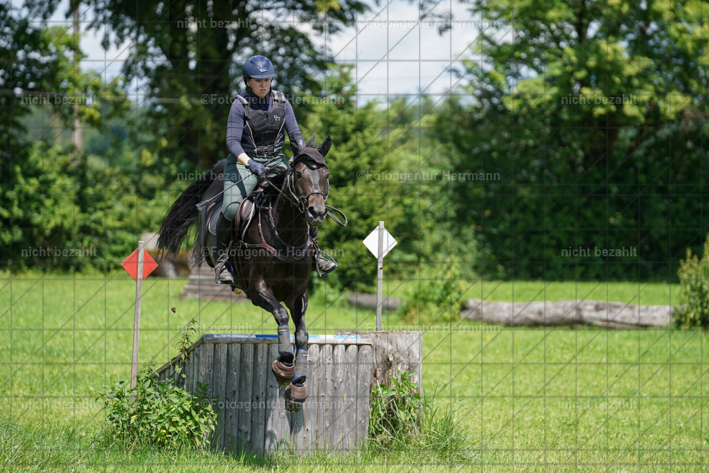 20240622-FAH06839 | Turnierfotografen Bayern, Reitsportbilder aus dem Geländekurs mit Felix Etzel auf dem Gut Waitzacker 2024