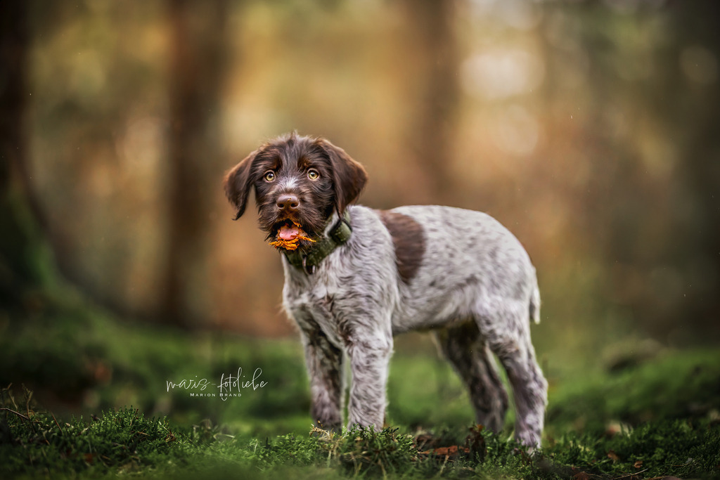 4M7A1808 | maris-fotoliebe - Realisiert mit Pictrs.com