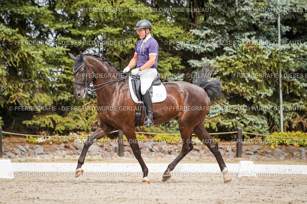 DSC06262 | Pferdegrafie