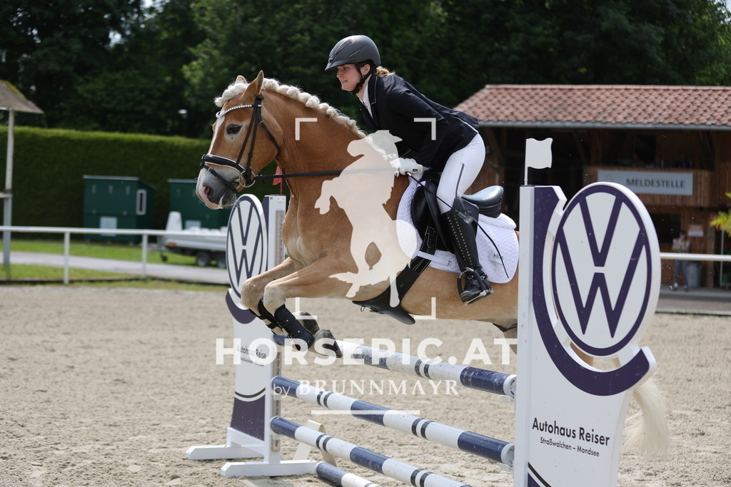 0P6A9000 | Willkommen bei Brunnmayr - Design & Fotografie – Ihrem Spezialisten für Reitturniere und Pferdeveranstaltungen in Oberösterreich, Salzburg und Bayern! Seit über 17 Jahren sind wir leidenschaftlich dabei.
