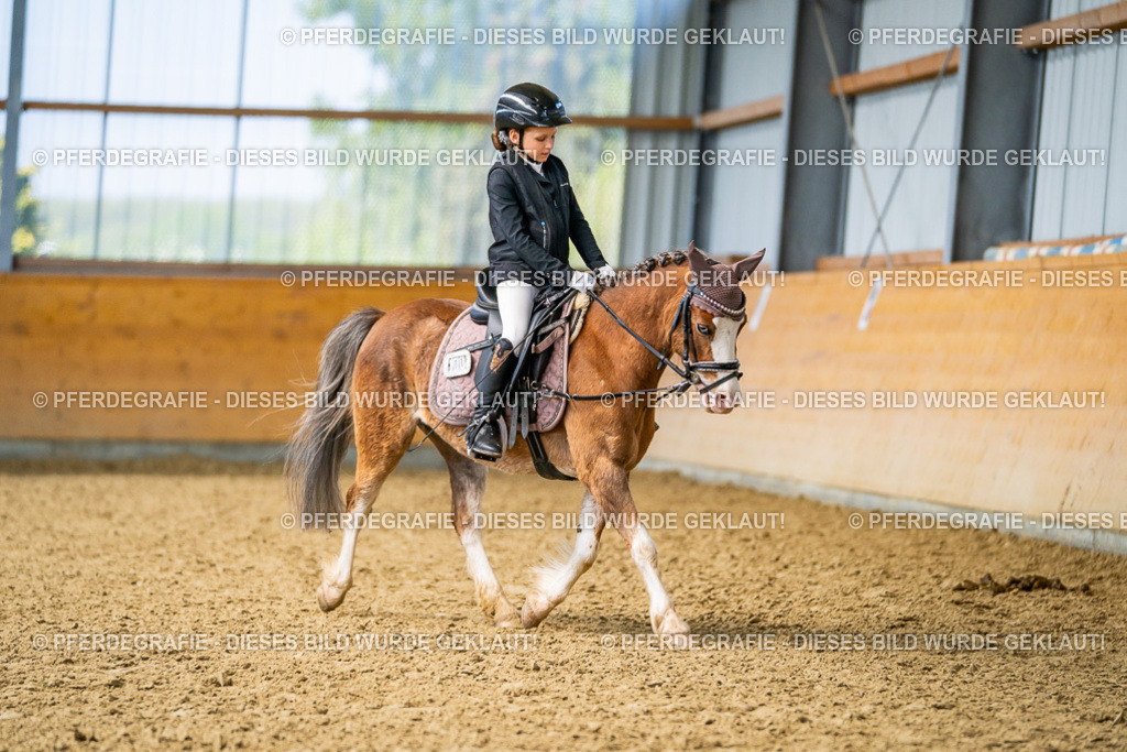 DSC02891 | Pferdegrafie