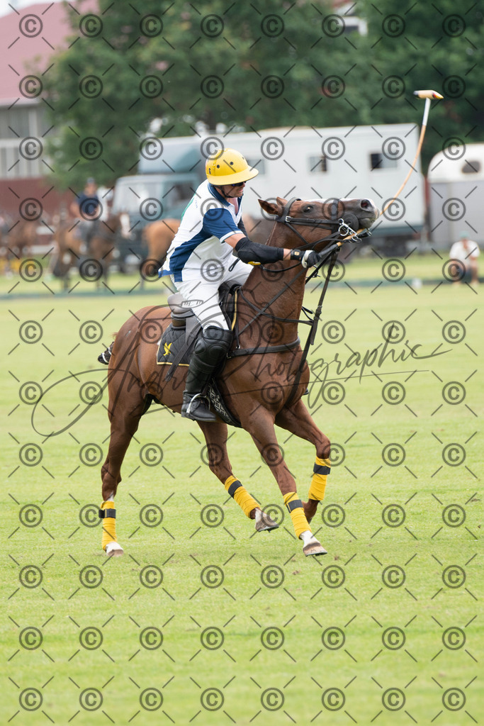 POL_3898 | andre_photographic