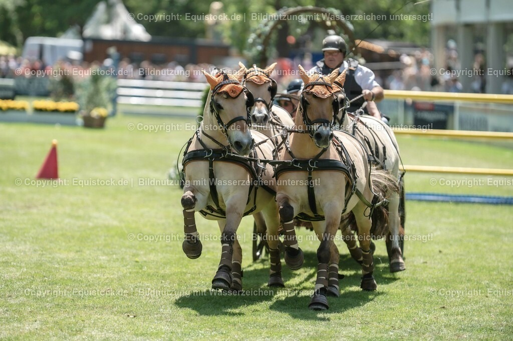 20230528_Jump-and-Drive_0039 | equistock