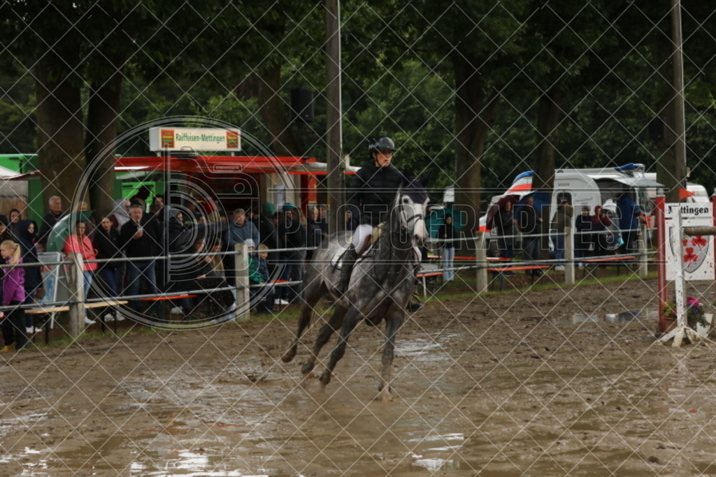 IMG_6152 | photographesa-joergens - Realisiert mit Pictrs.com