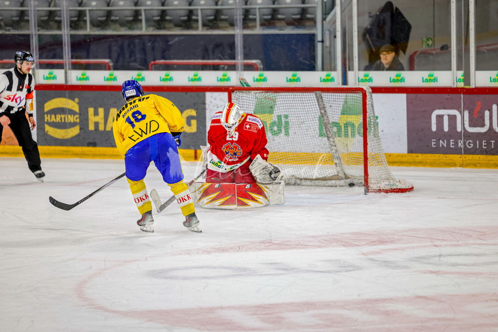 EHCB vs HCD-1471 | Sportbilder, Sportfotograf, Hochzeits- und Eventfotografin, Flugshows, Portraits und Tiershooting, Aviation, Downhill, Nationalleague, Swissleague, International