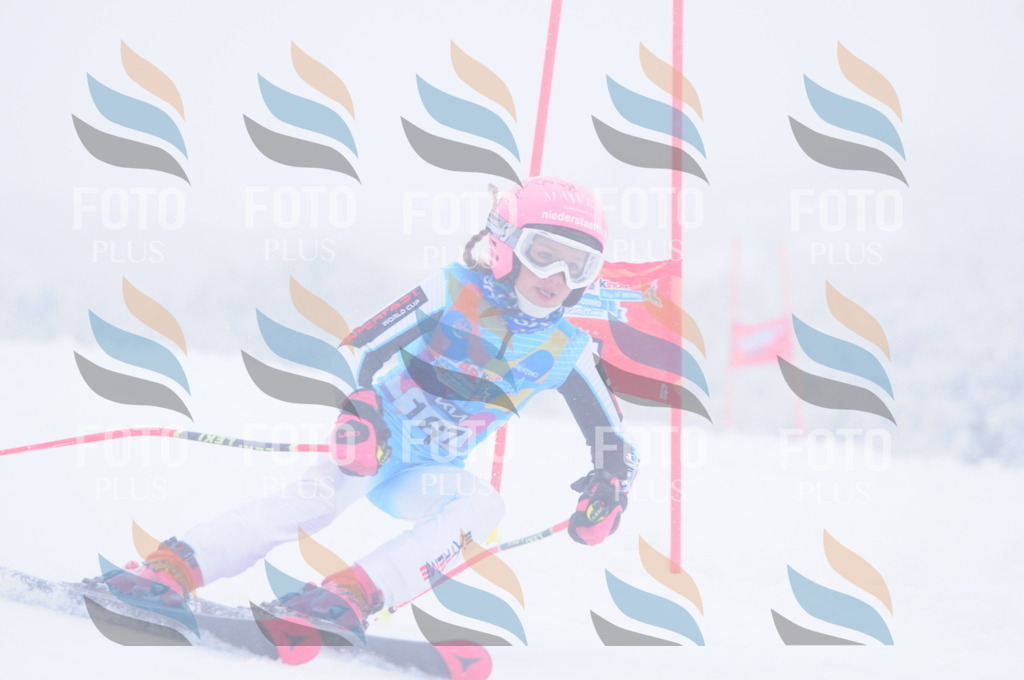 C1962 | holidayphoto