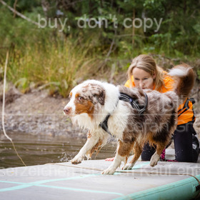 Camp Canis | tierische-augenblicke
