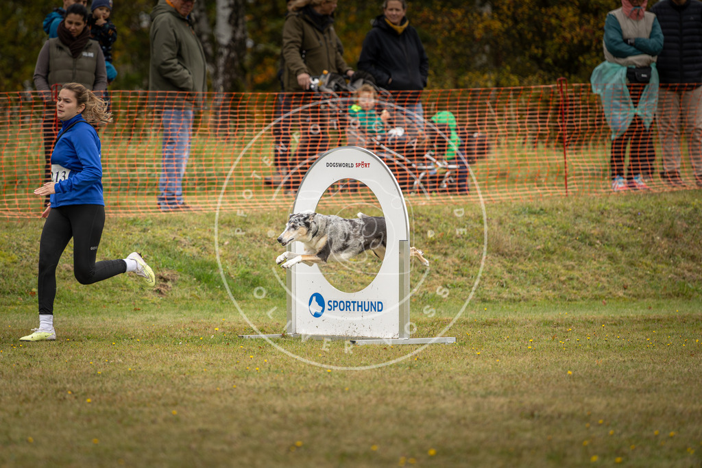 Pfotenfotografie_DV3A4276 | Hundefotografie, Tierfotograf, Pfotenfotografie, Fotoshooting Hund, Hunde Portrait, Hundesport, Hundeportraits, Heideshooting, Hunde, Sportfotograf, Hundefotograf, Turnierhundsport, THS,  - Realisiert mit Pictrs.com