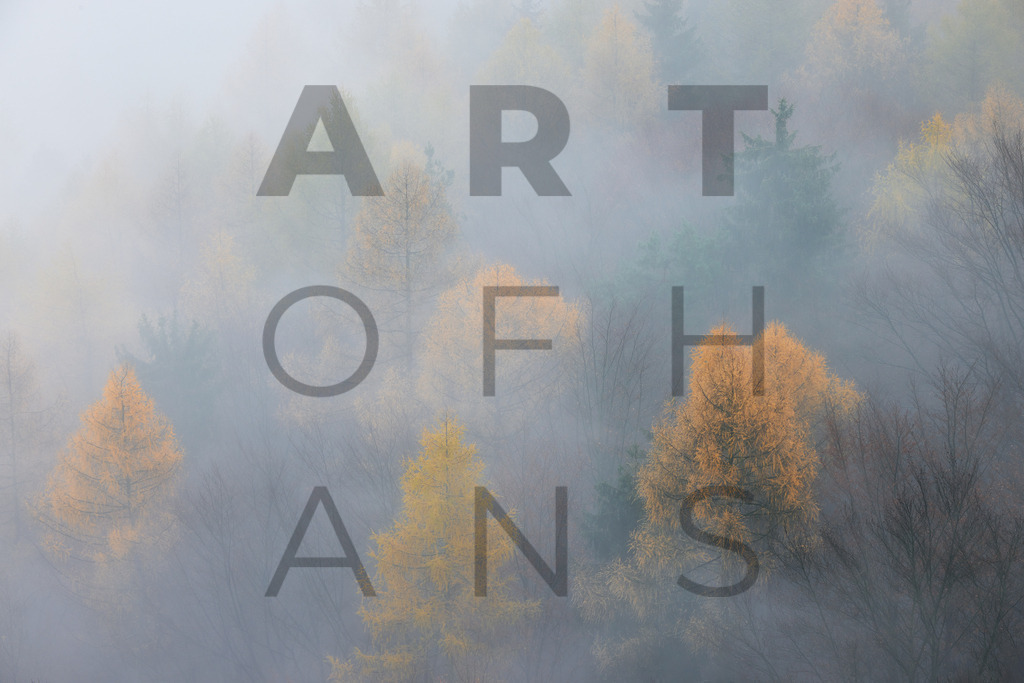 Ein Hans Fineart Original | Entdecke die Kunst von Hans Fineart - Fotografien für dein Zuhause. Verwandle deine Wände mit einzigartigen Kunstwerken und bringe die Schönheit der Welt in dein Leben. Bestelle jetzt und schaffe einen Ort der Inspiration und Eleganz.