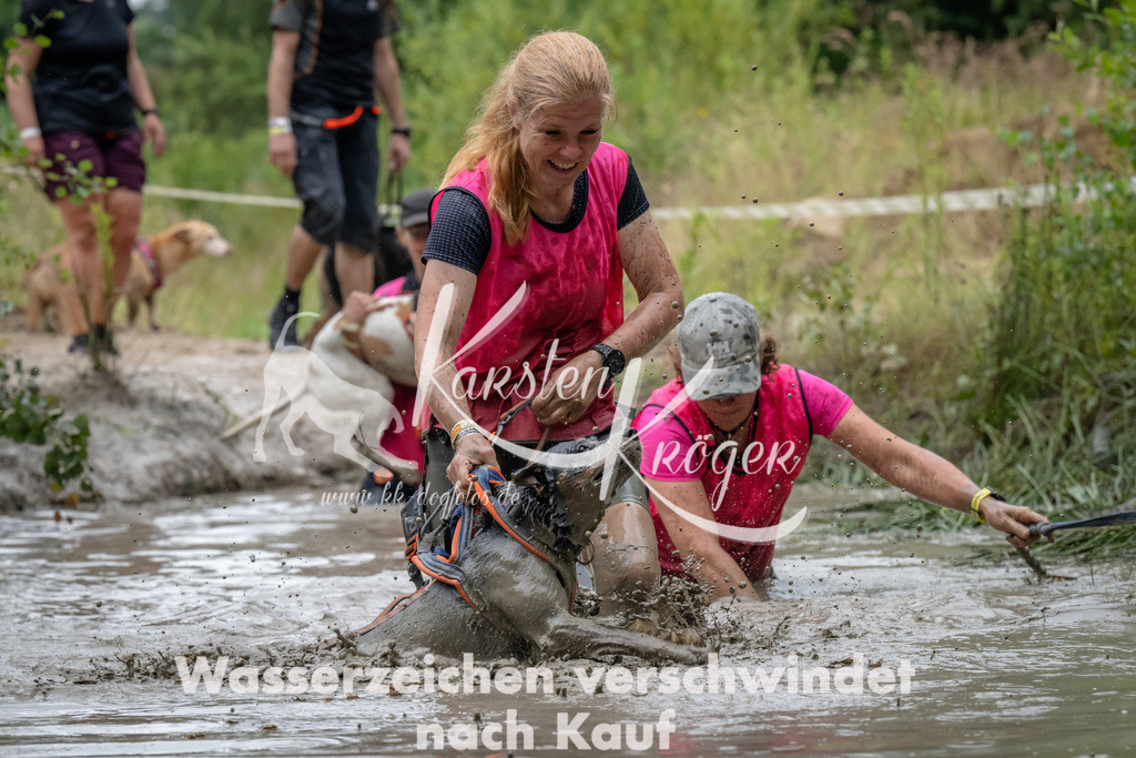 1340_ZZ91686 | kk-dogfotos