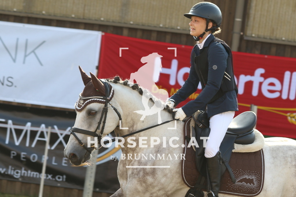 7V2A2393 | Willkommen bei Brunnmayr - Design & Fotografie – Ihrem Spezialisten für Reitturniere und Pferdeveranstaltungen in Oberösterreich, Salzburg und Bayern! Seit über 17 Jahren sind wir leidenschaftlich dabei.