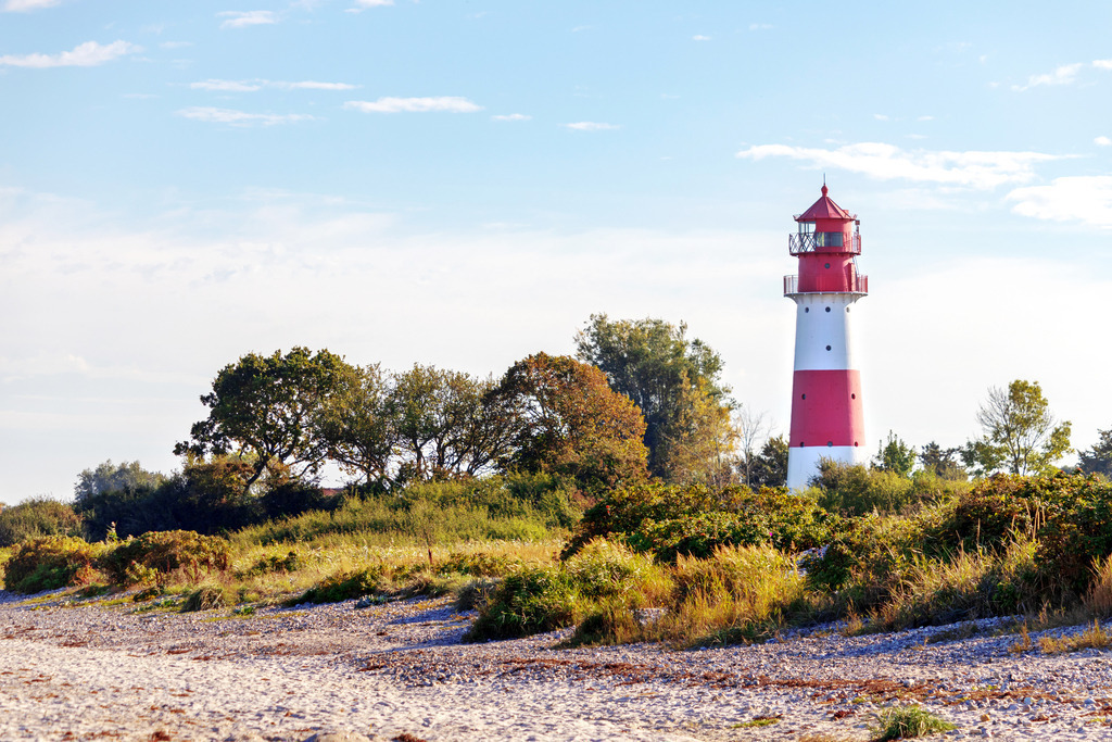 XXL Wandbild: Leuchtturm am Strand in Falshöft | Dieses Wandbild im Querformat zeigt den Leuchtturm in Falshöft am Sandstrand im Herbst. Der Leuchtturm steht inmitten von Bäumen, Büschen und Gräsern. Am blauen Himmel befinden sich nur einige Schleierwolken.  - Realisiert mit Pictrs.com