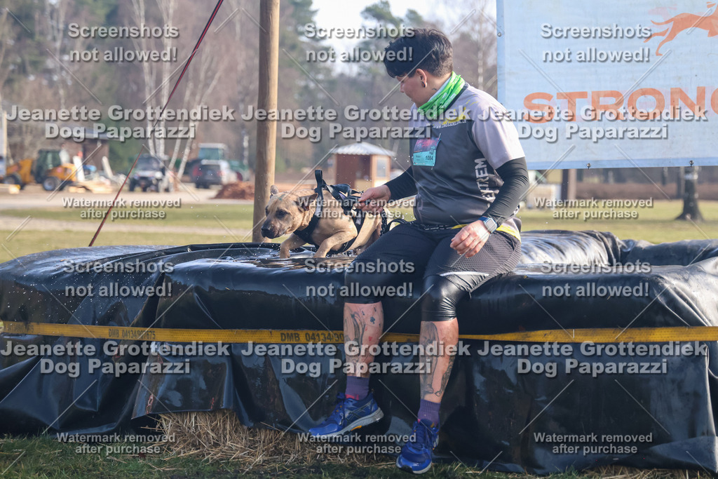Dog Paparazzi - Strongdog North Mrz26-560 | Dog Paparazzi Jeanette Grottendiek Fotografie & Videografie - Realisiert mit Pictrs.com