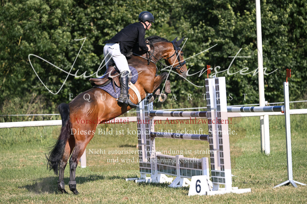 DSC_1585 | Pferde- und Turnierfotografie in Westsachsen. Pferdeportraits, Auftragszeichnungen und intuitive Kunst.