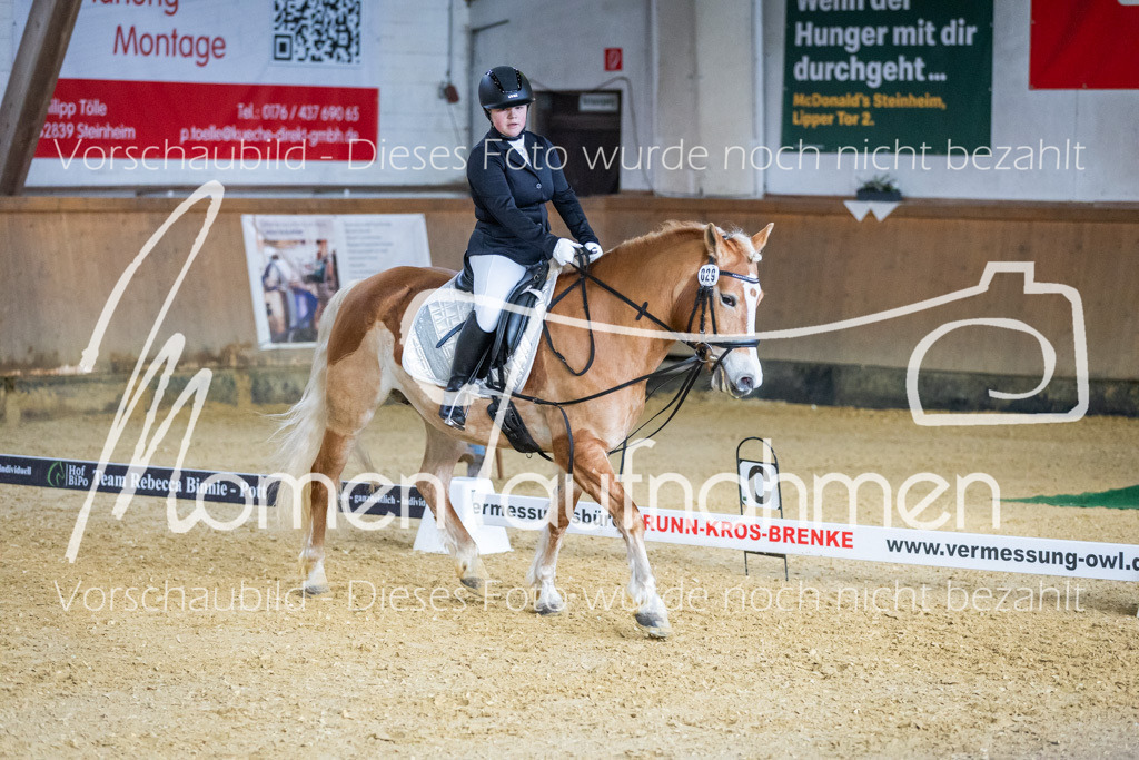 Sth-WBO25-DrR-153 | MomenTaufnahmen Pferdesportfotos