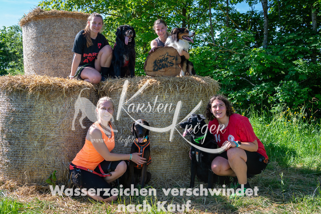 0933STR_5222 | kk-dogfotos