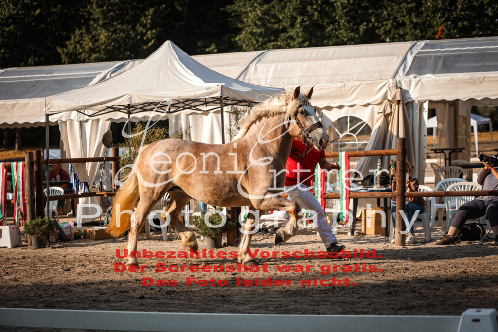 Fr3K00099 | Leoni Ertmer Photography - Realisiert mit Pictrs.com