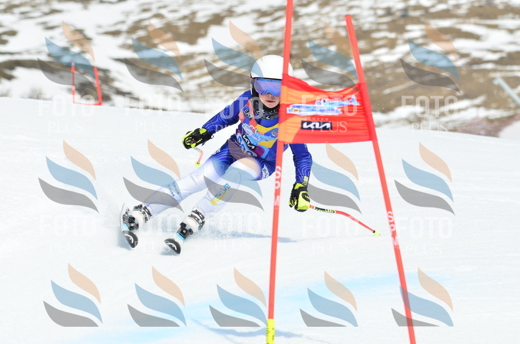 _ELE2515 | holidayphoto