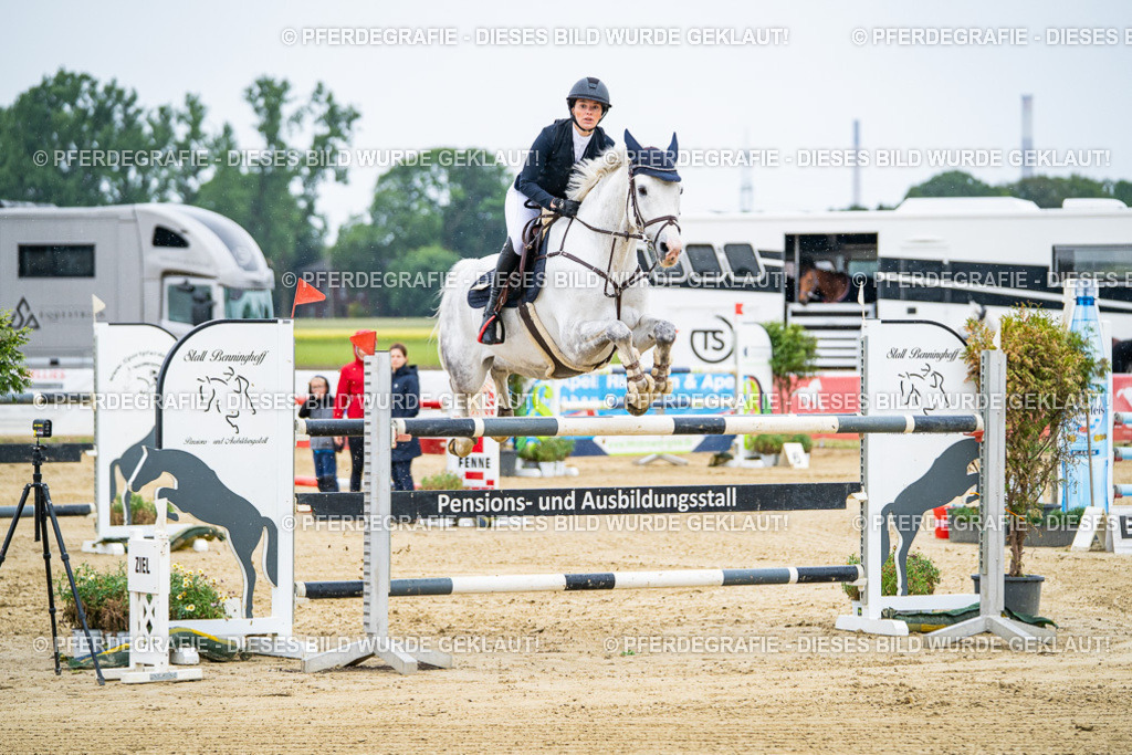 DSC07682 | Pferdegrafie