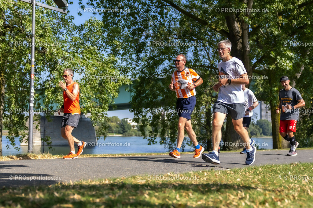 ASV OBI Brueckenlauf 2023 ; 10.09.2023 | Impressionen im Bereich des Katzenbuckels und des Rheinparks; ASV OBI Brueckenlauf 2023  am 10.09.2023 im Bereich Katzenbuckel und Rheinpark in Koeln/Deutschland. Photo: Ulrich Fassbender