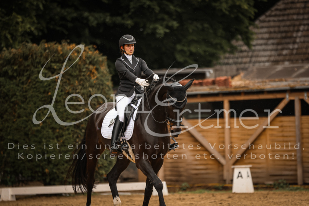 DoDrA00214 | Leoni Ertmer Photography - Realisiert mit Pictrs.com