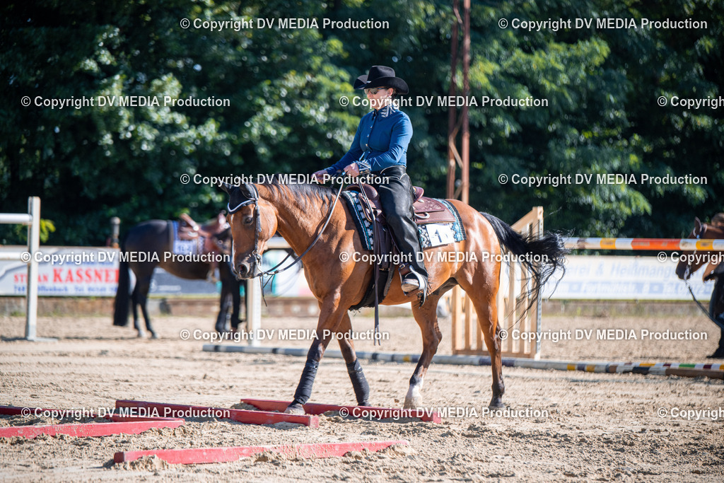 ZS1_0743 | dv-media-shop - Realisiert mit Pictrs.com