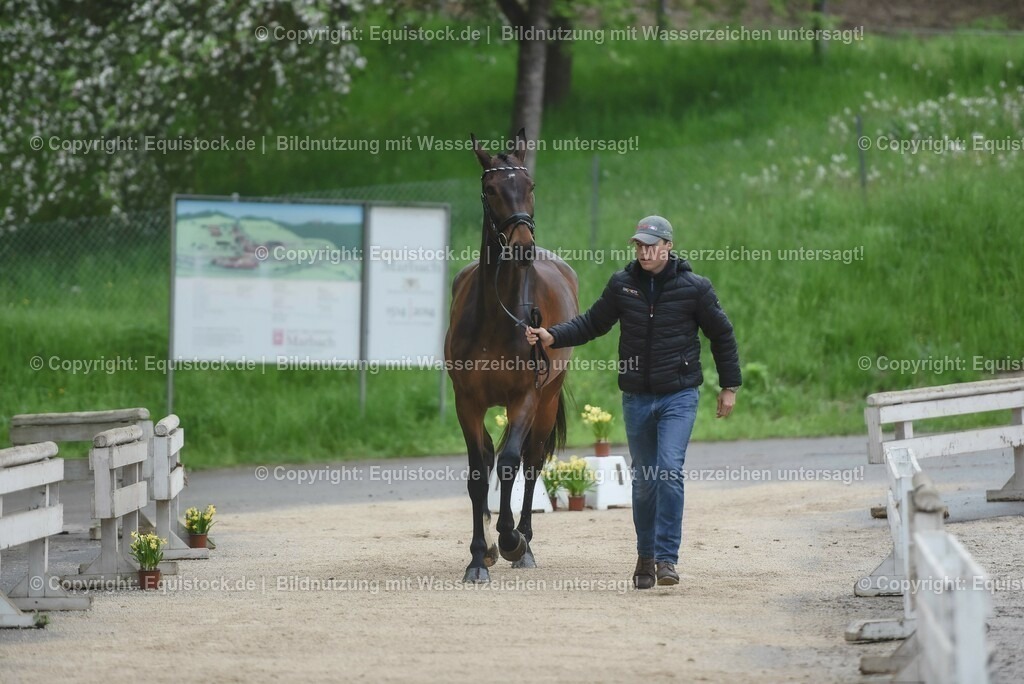20230514_Impressionen_0074 | equistock