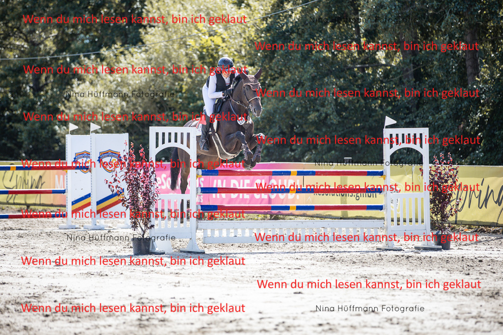 BK1A6501 | Turnierbilder Turnierfotos Nina Hüffmann Turnierfotografie Pferdefotografie Tierzeichnung Haustierzeichnung Pferdezeichnung Hundezeichnung Videograf  - Realisiert mit Pictrs.com
