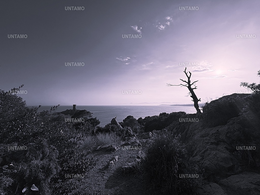 Blick auf Burg Insel Antibes | untamo - Realisiert mit Pictrs.com
