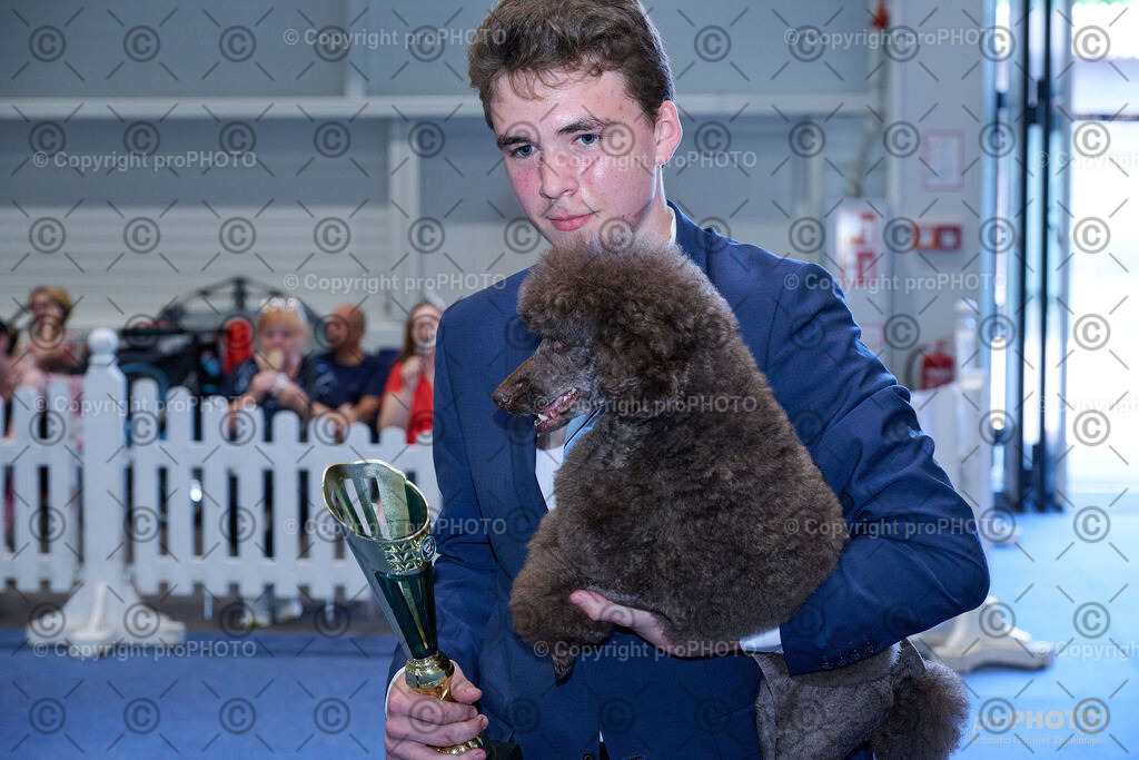 202406_ÖKV-IHA-Tulln24_NZ9_8599 | proPHOTO - Realisiert mit Pictrs.com