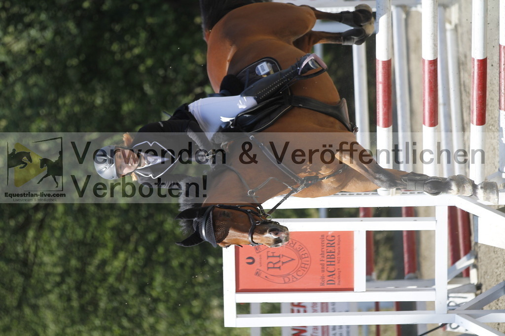 _MG_1695 | equestrian-live-com