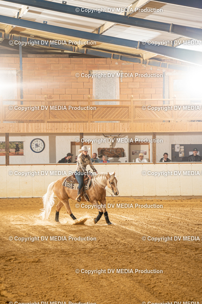 MIT00461 | dv-media-shop - Realisiert mit Pictrs.com