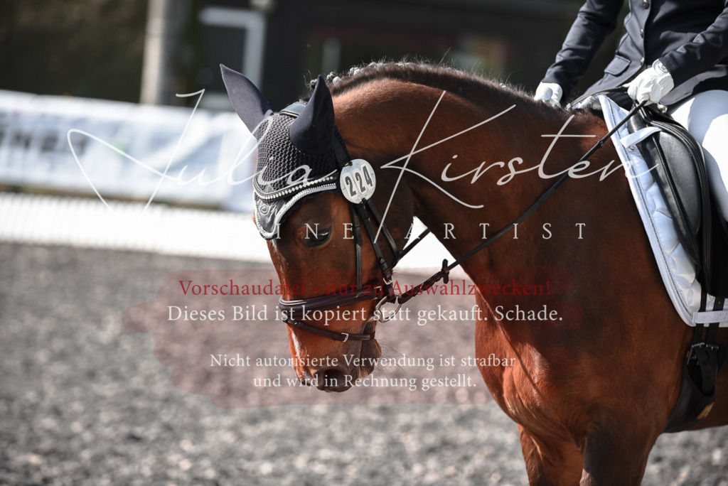 20230513_JK-Röhrsdorf-14-342 | Pferde- und Turnierfotografie in Westsachsen. Pferdeportraits, Auftragszeichnungen und intuitive Kunst.