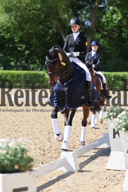 Böblingen_2025_Prfg.Nr.08_Dressurprüfung_Kl.M_Nürnberger Burgpokal_Siegerehrung_Prfg.Nr.08__ (21) | Alle Fotos der Reiterjournal Fotografin Doris Matthaes im Reiterjournal Online-Fotoshop. - Realisiert mit Pictrs.com