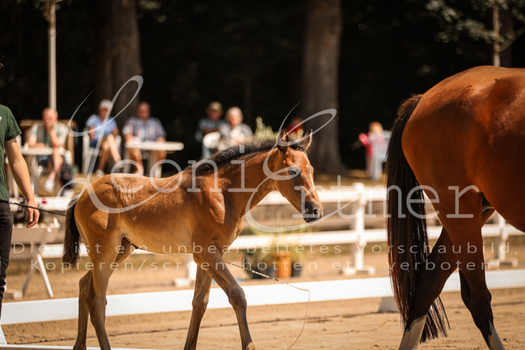 03.DoAB00003 | Leoni Ertmer Photography - Realisiert mit Pictrs.com