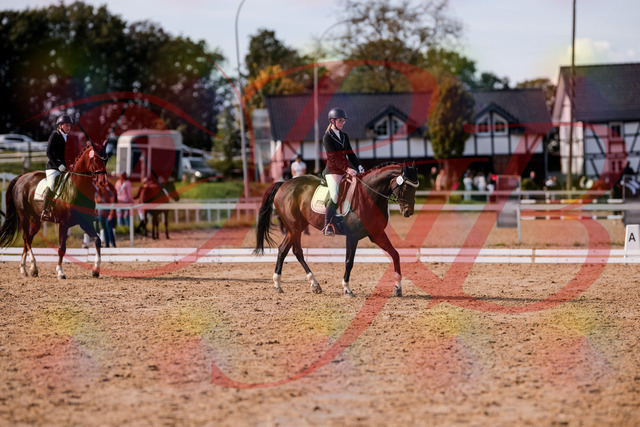 2026_10_03_Siefer-Hof_132512_Z81_74559596 | Professionelle Reitsport-, Turnier- und Eventfotografie von Robert Broda. Galerien mit ausgewählten und bearbeiteten Bildern direkt online ansehen und bestellen.