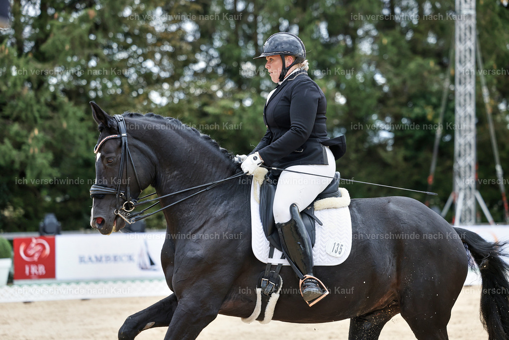 04_1-135-Dressur M__ -StoibPH-StoibPH-2680 | working equitationturnier fotograf videograf stoibphotography marixx film working equitation deutschland reitsport turnierfotografie eventfotografie equestrian events