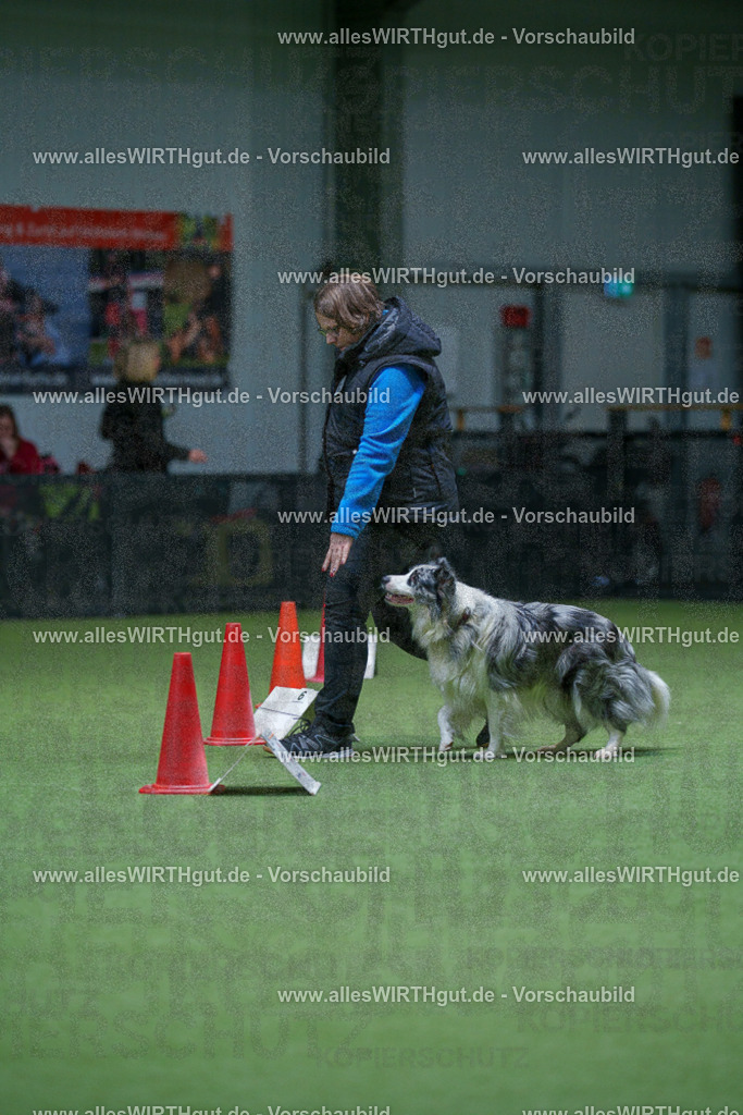 7R506282 | Professionelle Tierfotografie in Mönchengladbach von Daniel Wirth (allesWIRTHgut). Liebevolle & natürliche Bilder von Hunden & Katzen für unvergessliche Erinnerungen.