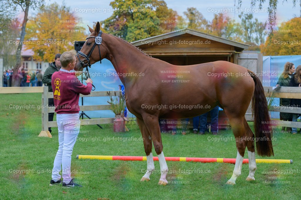 160_Winchester_v.Total-Diamond-PS_Schindele_251018_09_gis | gis-fotografie