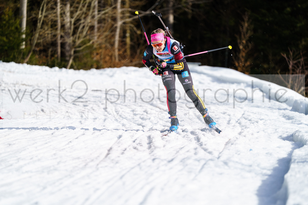 FESA Alpencup / DP Notschrei | Deutschland Pokal Finale im Schwarzwald NORDIC-CENTER Notschrei am 7. - 8. Februar 2026