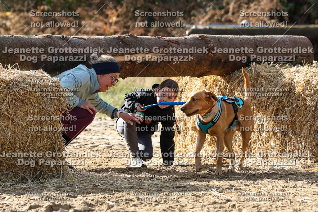 Dog Paparazzi - Strongdog 10-25-5932 | Dog Paparazzi Jeanette Grottendiek Fotografie & Videografie - Realisiert mit Pictrs.com