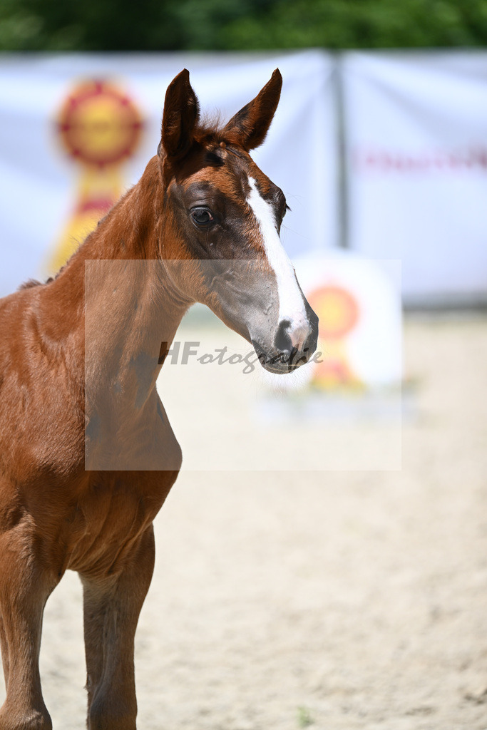 Ogano Sitte x Cartogran_SF_Strasser_19240553 | hf-fotografie - Realizzato con Pictrs.com