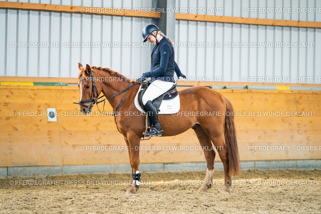 DSC01035 | Pferdegrafie