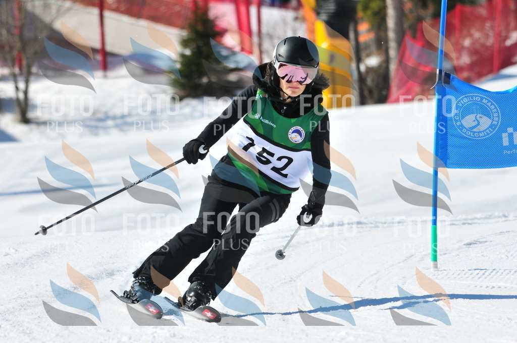 C4073 | holidayphoto