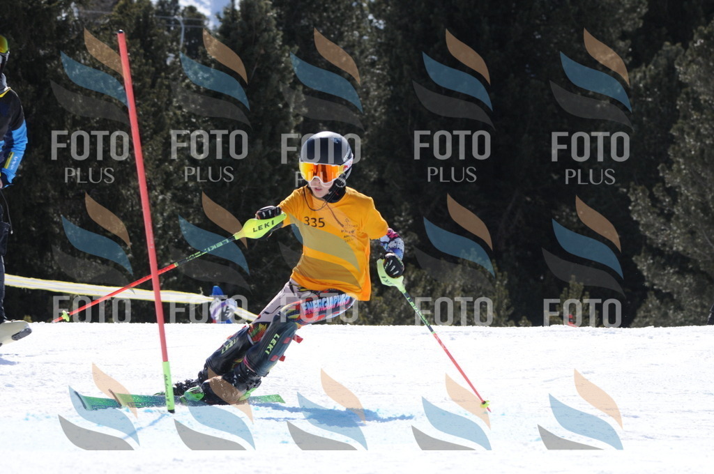 C9303 | holidayphoto