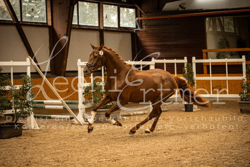 1FS_L00072 | Leoni Ertmer Photography - Realisiert mit Pictrs.com