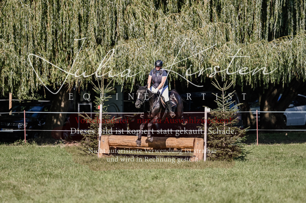 DSC_3338 | Pferde- und Turnierfotografie in Westsachsen. Pferdeportraits, Auftragszeichnungen und intuitive Kunst.